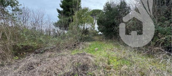 8-Zimmer Haus in Agugliano, Italy, Nr. 87452 9