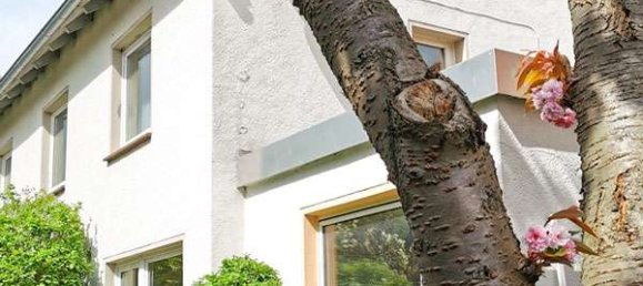 11 rooms Farm in Helmstedt, Germany No. 146214 5