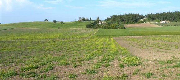 4700m² Hotel in Chalkidiki, Greece No. 7715 2