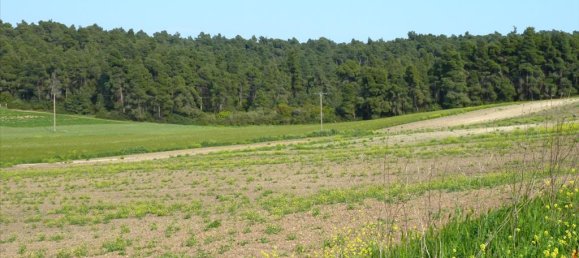 4700m² Hotel in Chalkidiki, Greece No. 7715 3