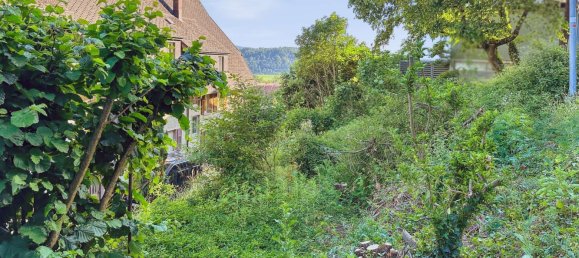  Land in Waldshut, Germany No. 318948 3