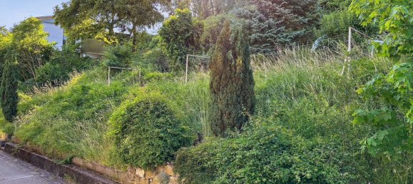  Land in Waldshut, Germany No. 318948 5