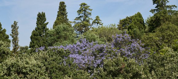 3 bedrooms Duplex in Lisbon, Portugal No. 105223 38