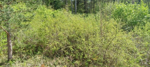 Terreno en Eichstatt, Germany No. 119803 4