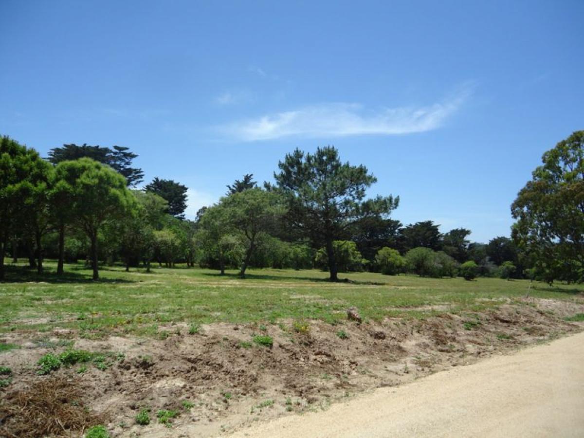 Terreno en Maldonado, Uruguay No. 15910