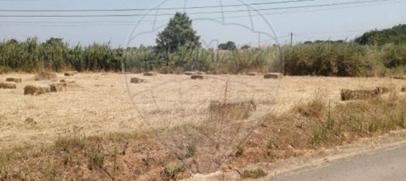 Grundstück in Alcobaca, Portugal, Nr. 291085 2