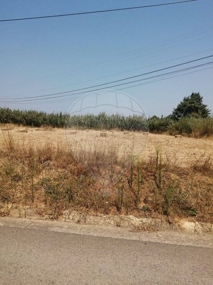  Land in Alcobaca, Portugal No. 291085