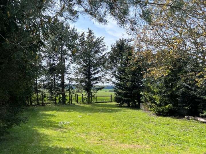  Land in Vorpommern-Rugen, Germany No. 194681