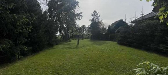  Land in Vorpommern-Rugen, Germany No. 194681 2