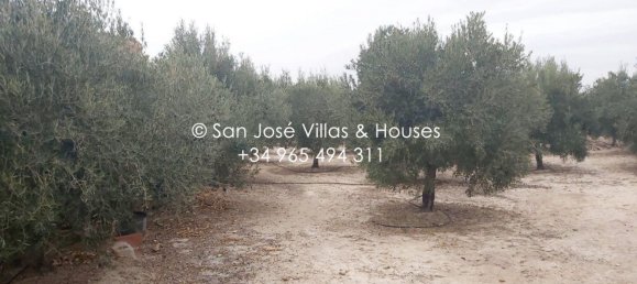 1 bedroom House in Aspe, Spain No. 27559 20