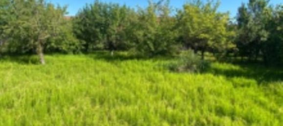 6 rooms Apartment in Crescentino, Italy No. 288364 3