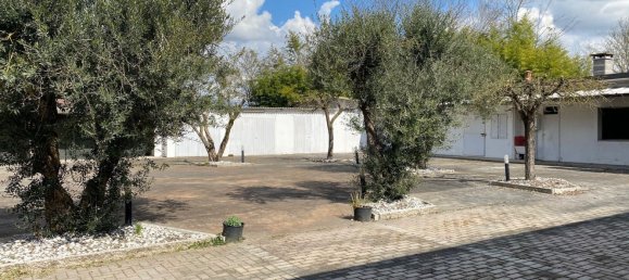  قطعة أرض في Trecenta, Italy 4108متر مربع رقم 74745 13