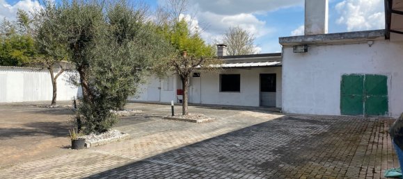  قطعة أرض في Trecenta, Italy 4108متر مربع رقم 74745 12