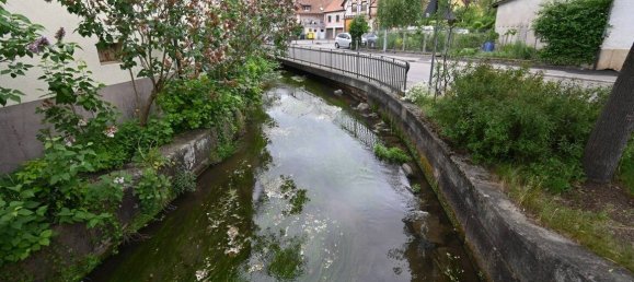 7 rooms House in Emmendingen, Germany No. 238897 3