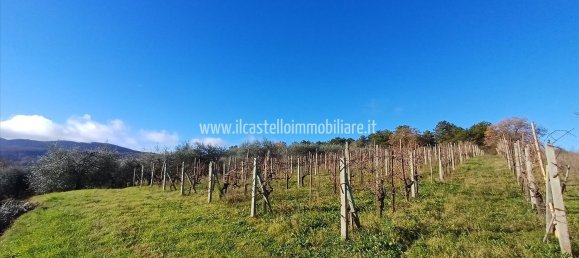 Terrain à Sarteano, Italy 6700m² No. 140894 21