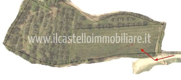 Terrain à Sarteano, Italy 6700m² No. 140894 13