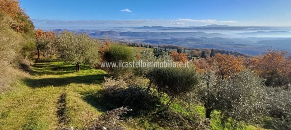 Terrain à Sarteano, Italy 6700m² No. 140894 15