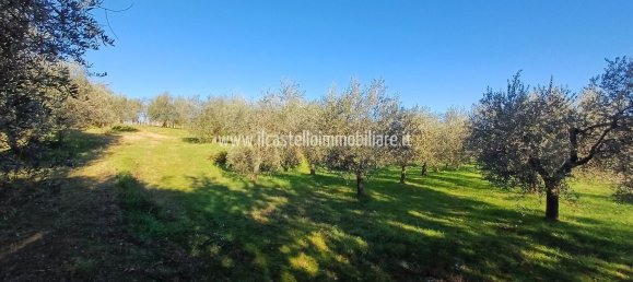 Terrain à Sarteano, Italy 6700m² No. 140894 3