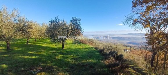 Terrain à Sarteano, Italy 6700m² No. 140894 18