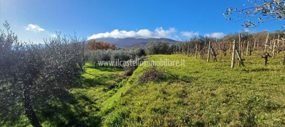 Terrain à Sarteano, Italy 6700m² No. 140894 20