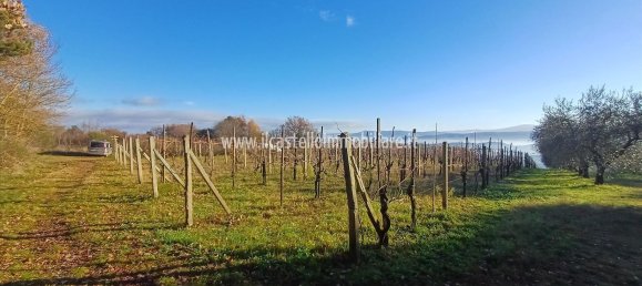 Terrain à Sarteano, Italy 6700m² No. 140894 8