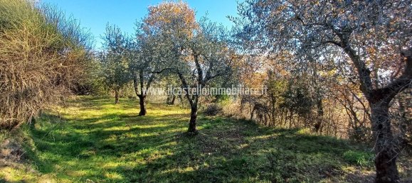 Terrain à Sarteano, Italy 6700m² No. 140894 7