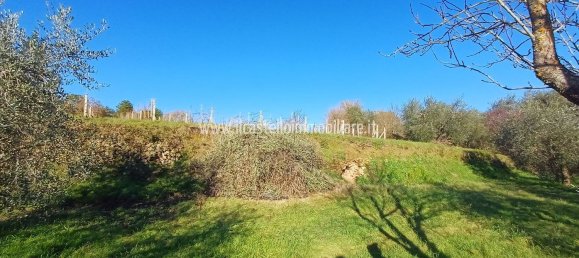 Terrain à Sarteano, Italy 6700m² No. 140894 19