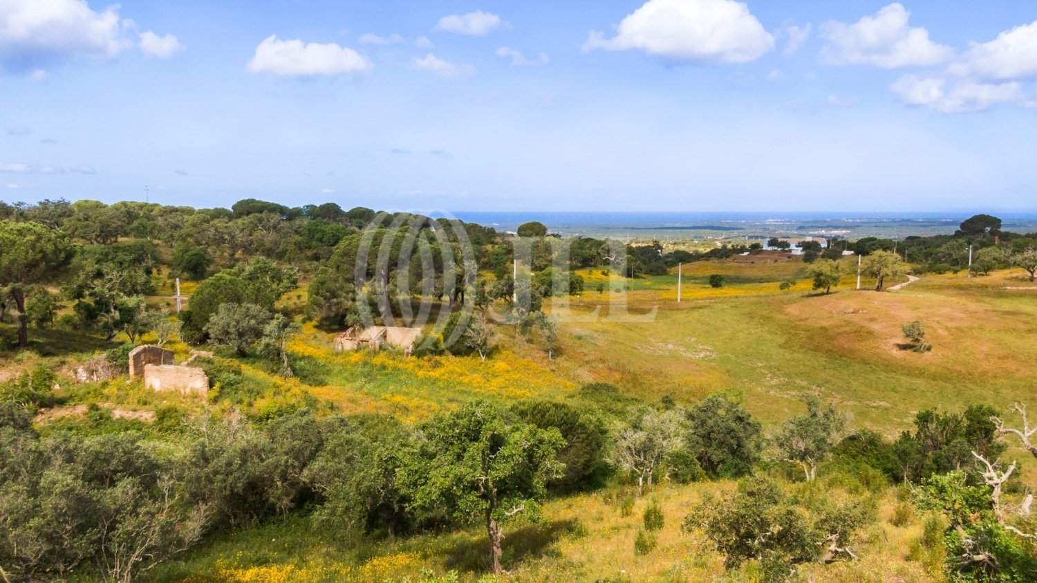  Land in Grandola, Portugal No. 142723