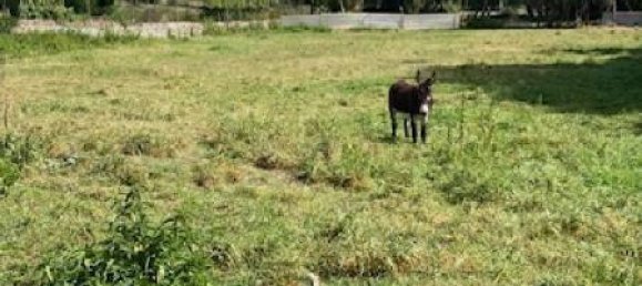 Terreno en Moncel-sur-Seille, France No. 75076 5