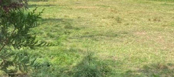 Terreno en Moncel-sur-Seille, France No. 75076 3