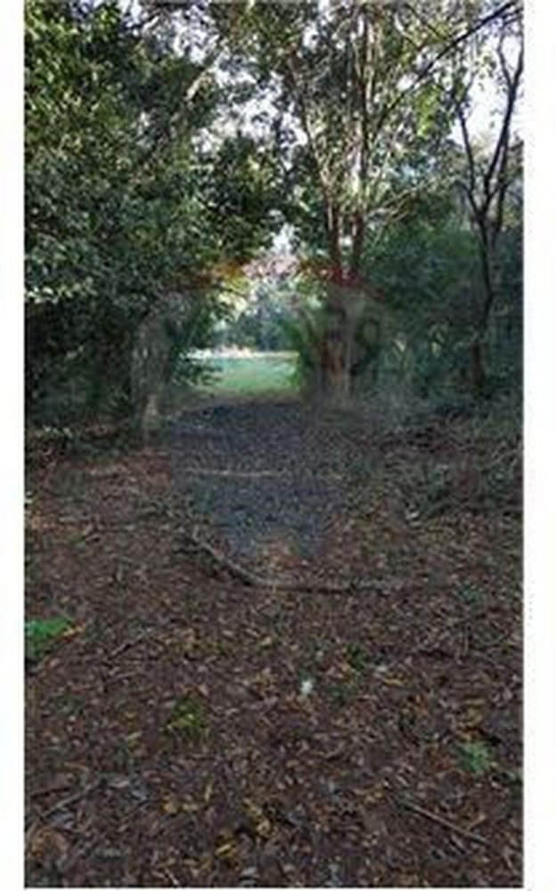 Terrain à Campo Creado, Argentina No. 42073