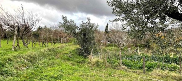 5-Zimmer Haus in Girifalco, Italy, Nr. 203834 2