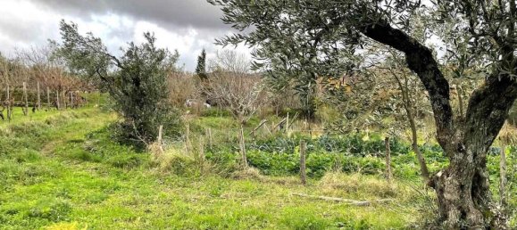 5-Zimmer Haus in Girifalco, Italy, Nr. 203834 8