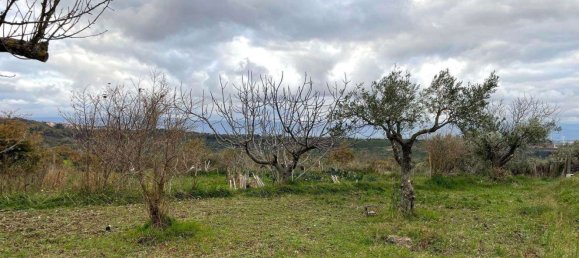 5-Zimmer Haus in Girifalco, Italy, Nr. 203834 6