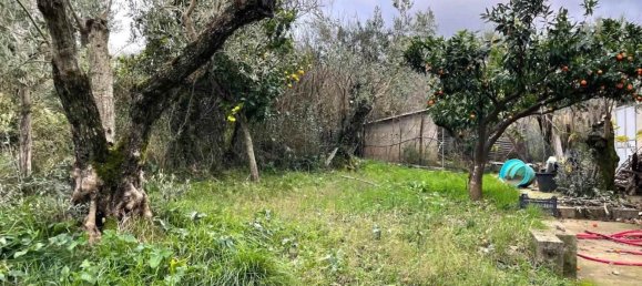 5-Zimmer Haus in Girifalco, Italy, Nr. 203834 9