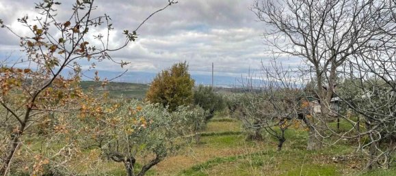 5-Zimmer Haus in Girifalco, Italy, Nr. 203834 3