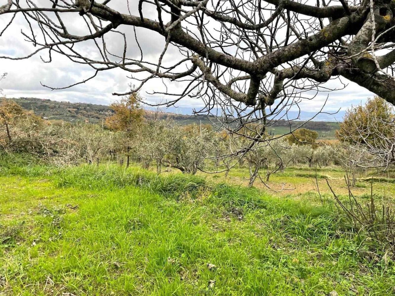 5-Zimmer Haus in Girifalco, Italy, Nr. 203834