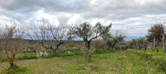 5-Zimmer Haus in Girifalco, Italy, Nr. 203834 7