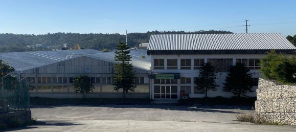  عقار تجاري في Coimbra, Portugal 4400متر مربع رقم 139750 3