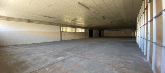  عقار تجاري في Coimbra, Portugal 4400متر مربع رقم 139750 28