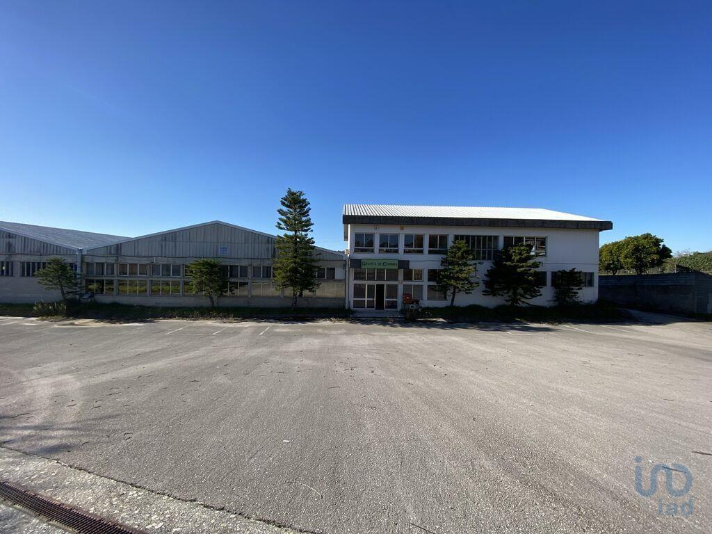  عقار تجاري في Coimbra, Portugal 4400متر مربع رقم 139750