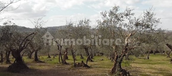 4 غرف نوم منزل في Montescudo Monte Colombo, Italy رقم 211458 55