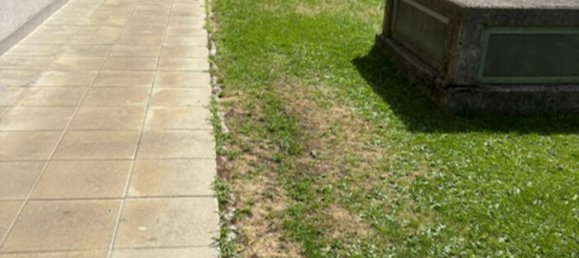 2-Zimmer Wohnung in Bregenz, Austria, Nr. 194822 11