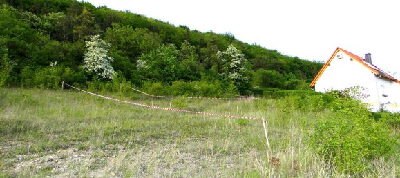 Land in Weimarer Land, Germany No. 353420 4