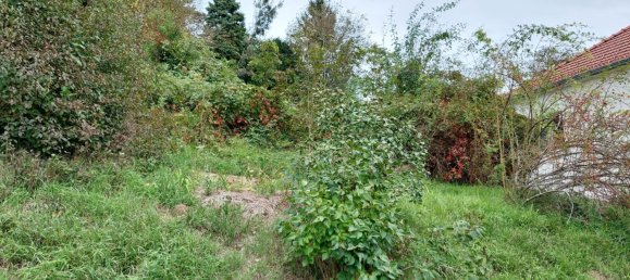 Terreno em Petzenkirchen, Austria N.º 63919 5