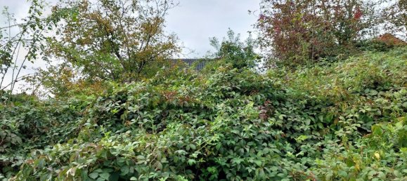 Terreno em Petzenkirchen, Austria N.º 63919 9