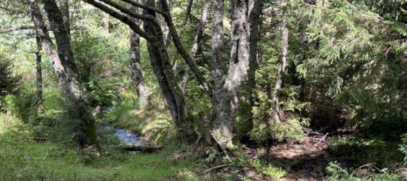  Land in Mont-Dore, France No. 200487 8