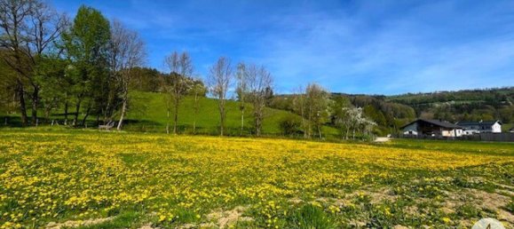  Land in Randegg, Austria No. 162775 4