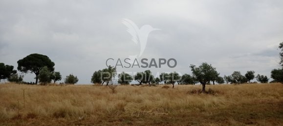  Land in Quarteira, Portugal No. 190619 12