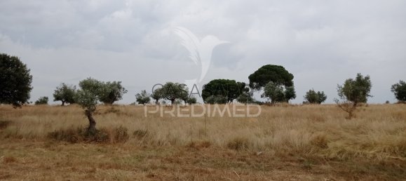  Land in Quarteira, Portugal No. 190619 14